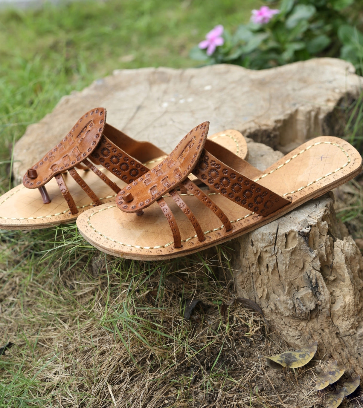 Rajasthani (Brown)