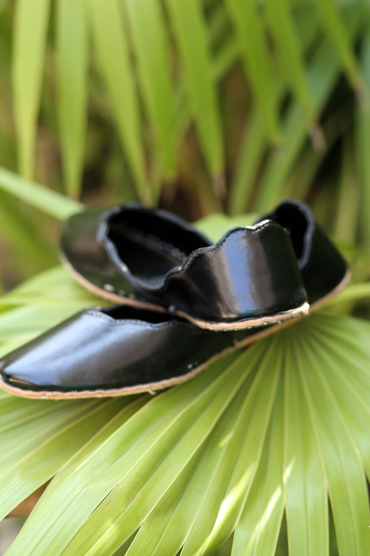 Lexy (Black)
