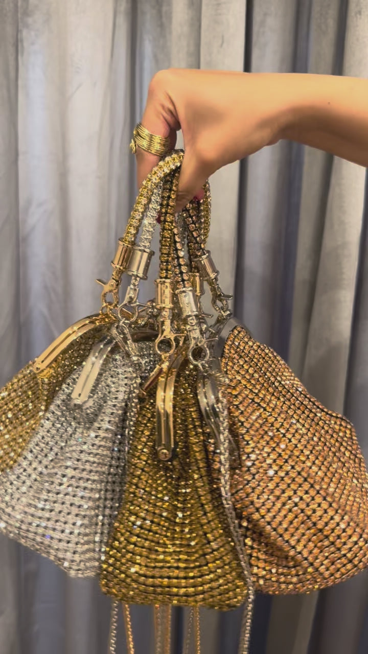Luxe Mesh Bag (Gold)