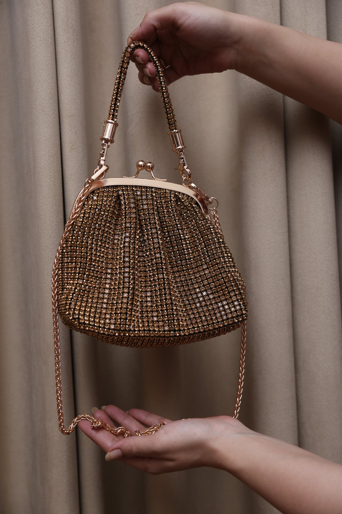 Luxe Mesh Bag (Gold)