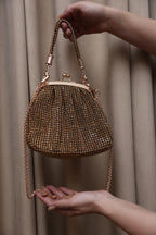 Luxe Mesh Bag (Gold)