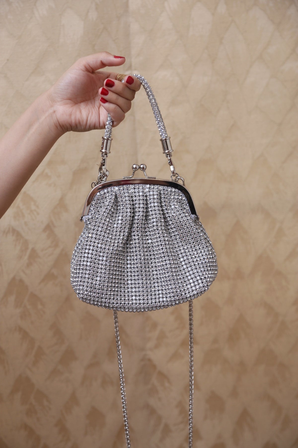 LuxeMesh Bag (Silver)