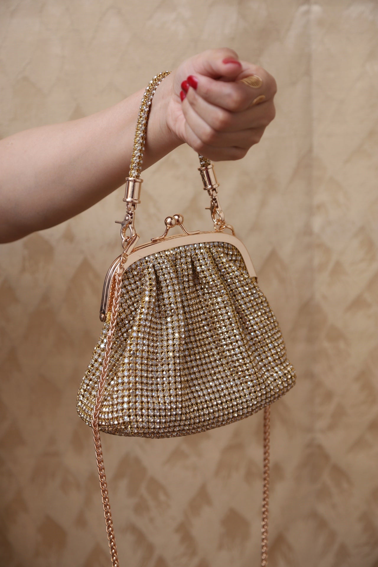 LuxeMesh Bag (LightGold)