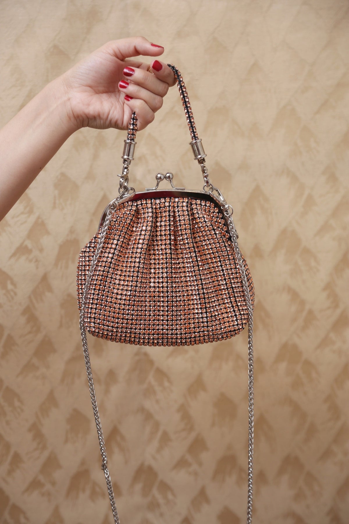 LuxeMesh Bag (Champagne)
