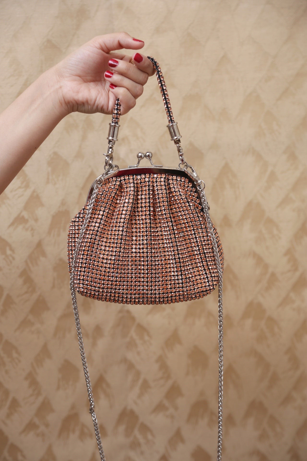 LuxeMesh Bag (Champagne)