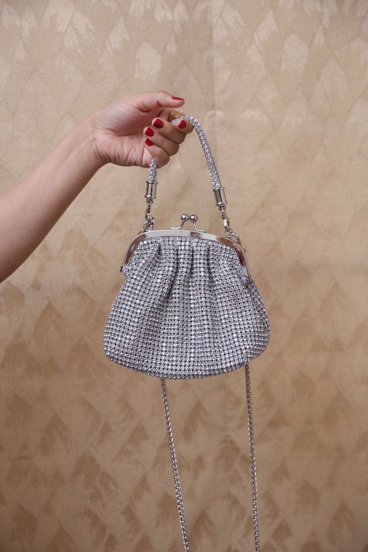 LuxeMesh Bag (Silver)