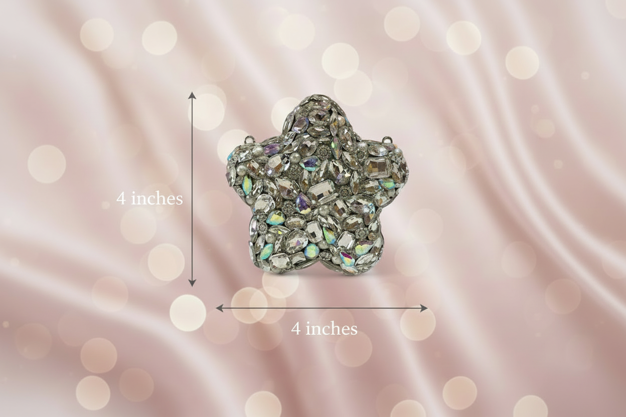 NoorèStar MiniClutch (Silver)