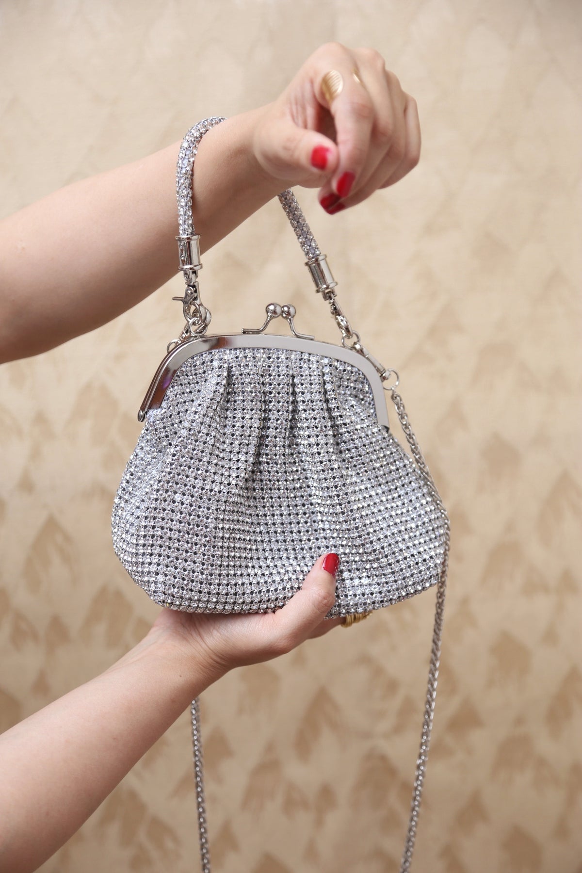 LuxeMesh Bag (Silver)
