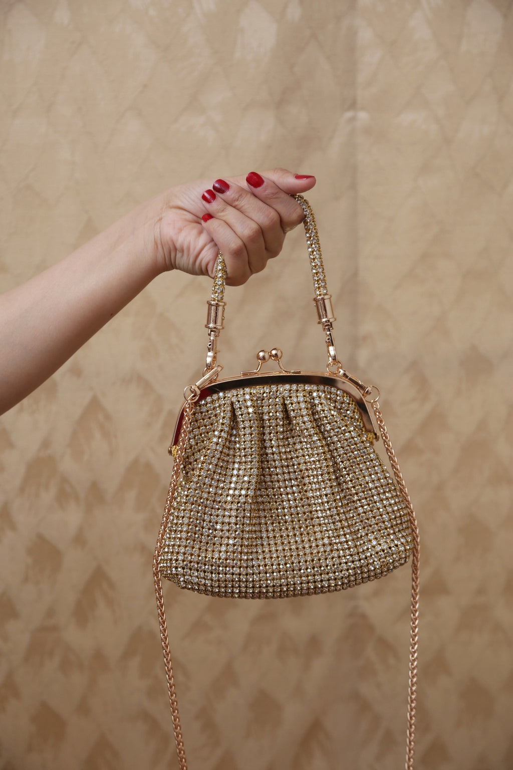LuxeMesh Bag (LightGold)