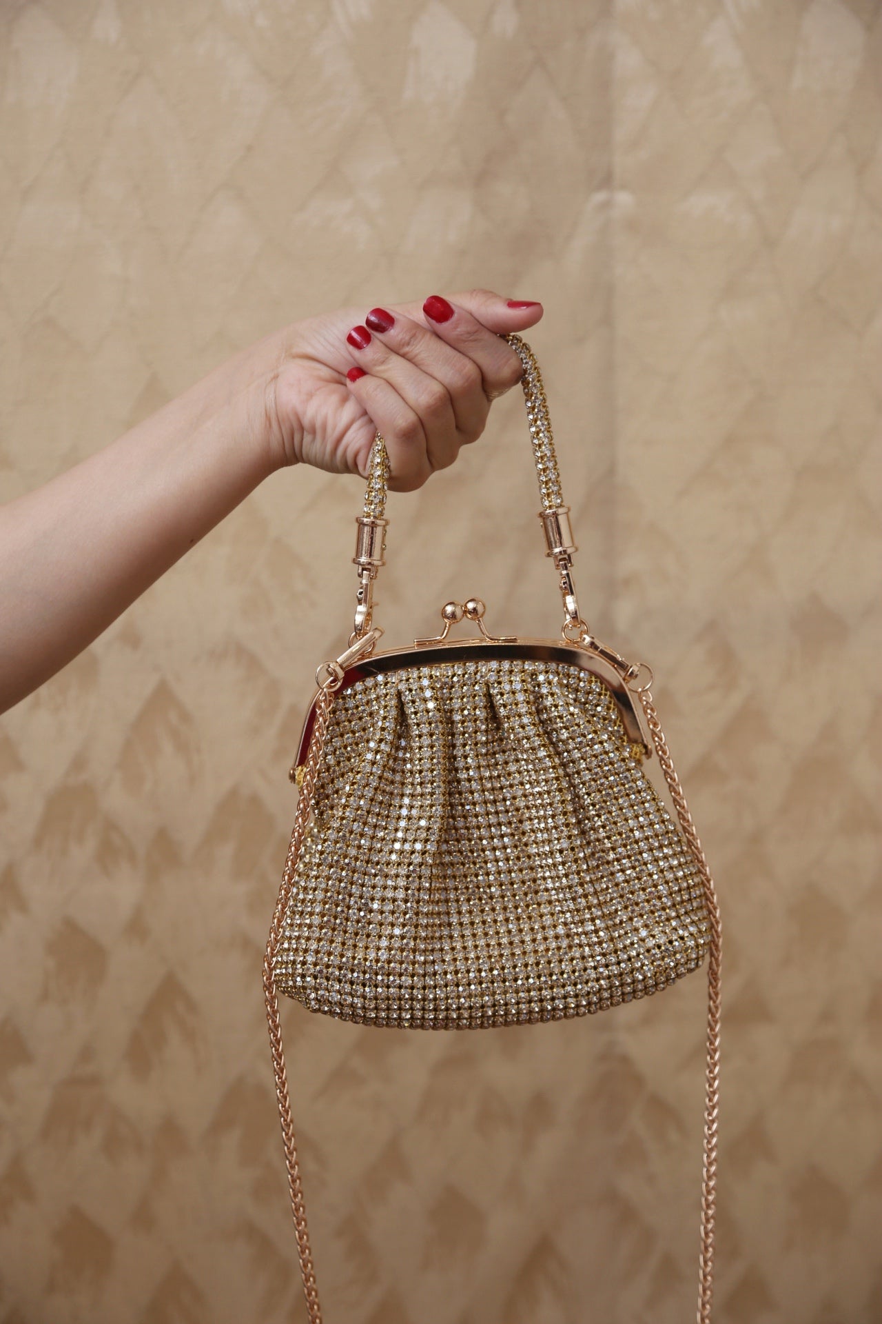 LuxeMesh Bag (LightGold)