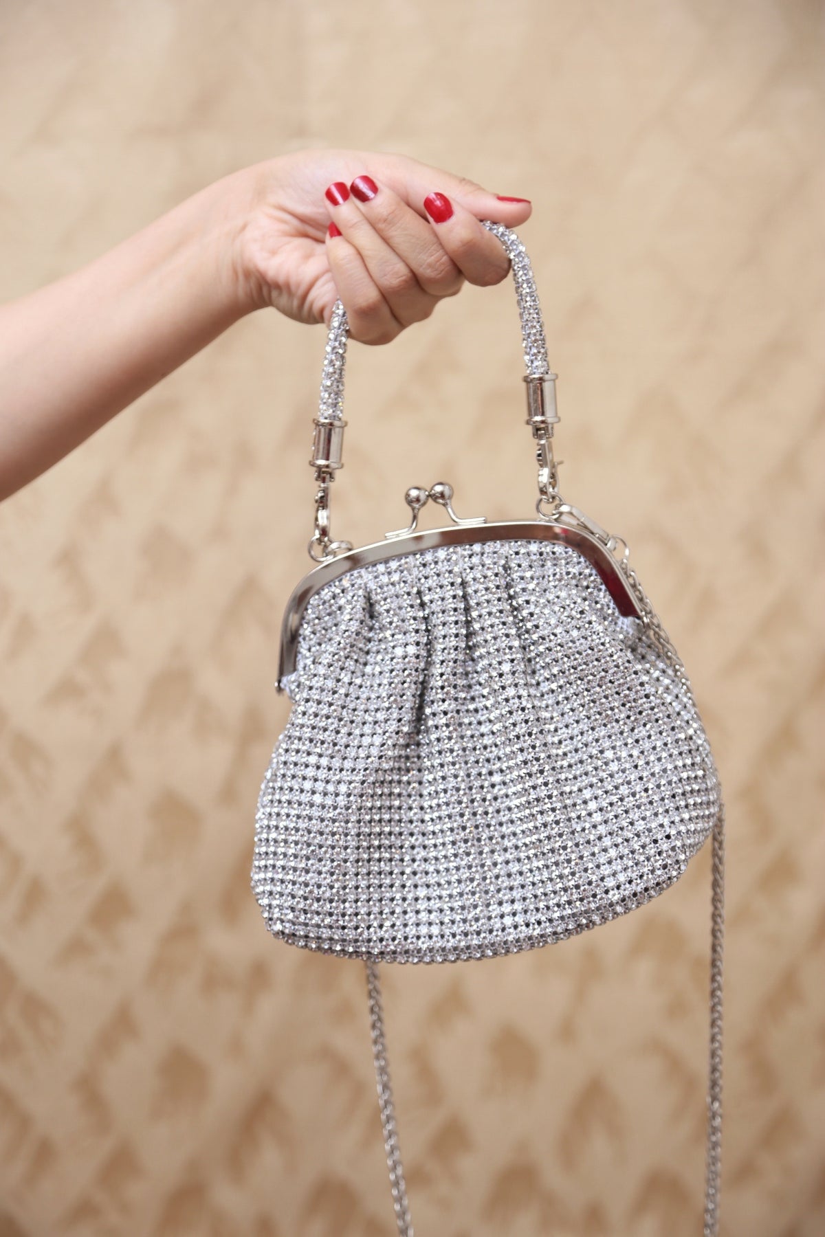 LuxeMesh Bag (Silver)