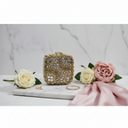 Kundan BugBox Clutch (C)