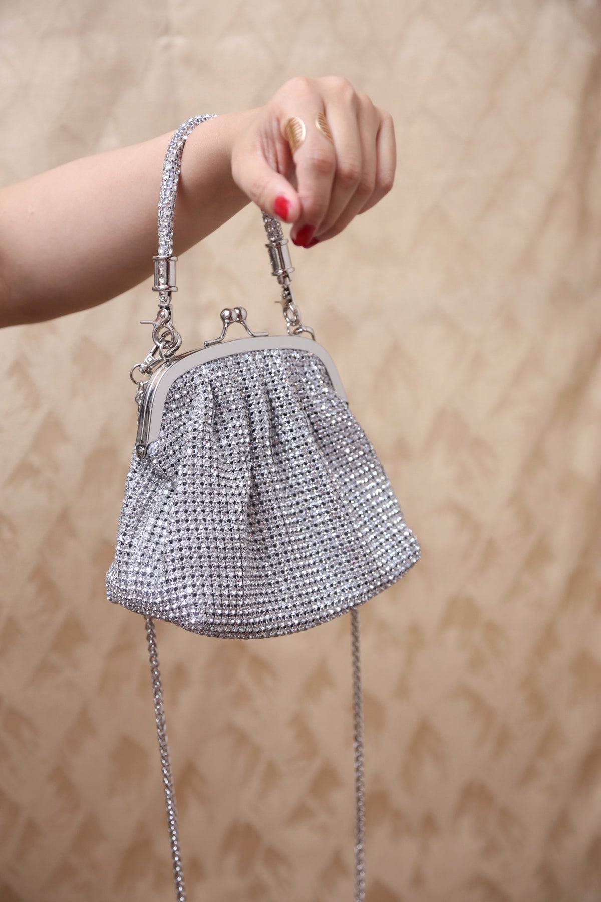 LuxeMesh Bag (Silver)