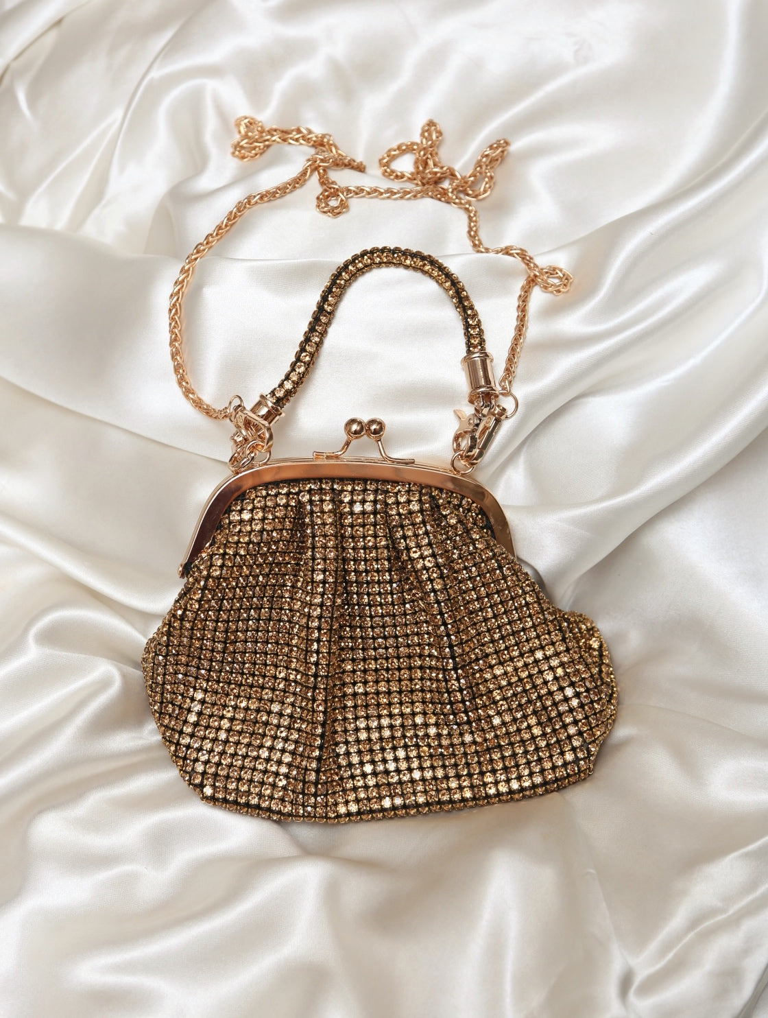 Luxe Mesh Bag (Gold)