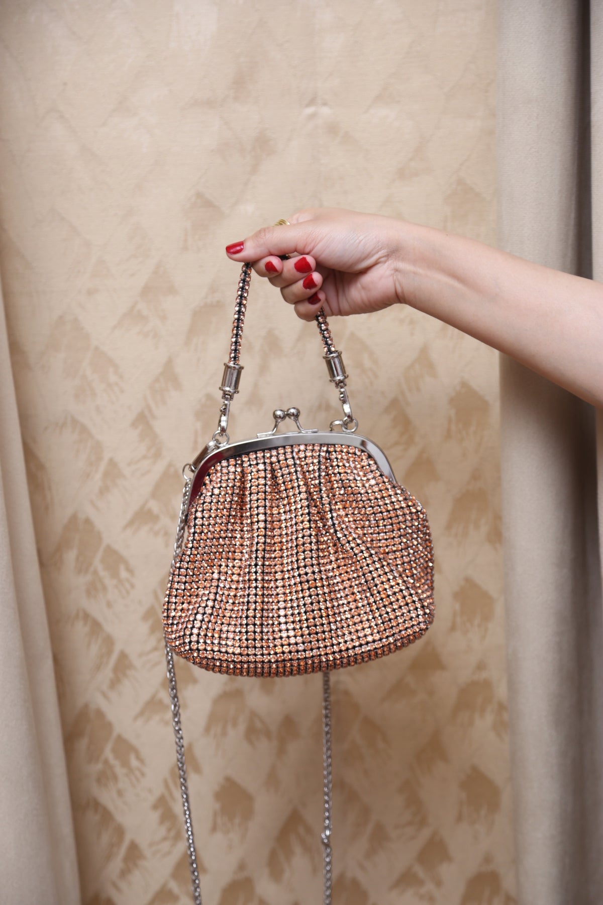 LuxeMesh Bag (Champagne)