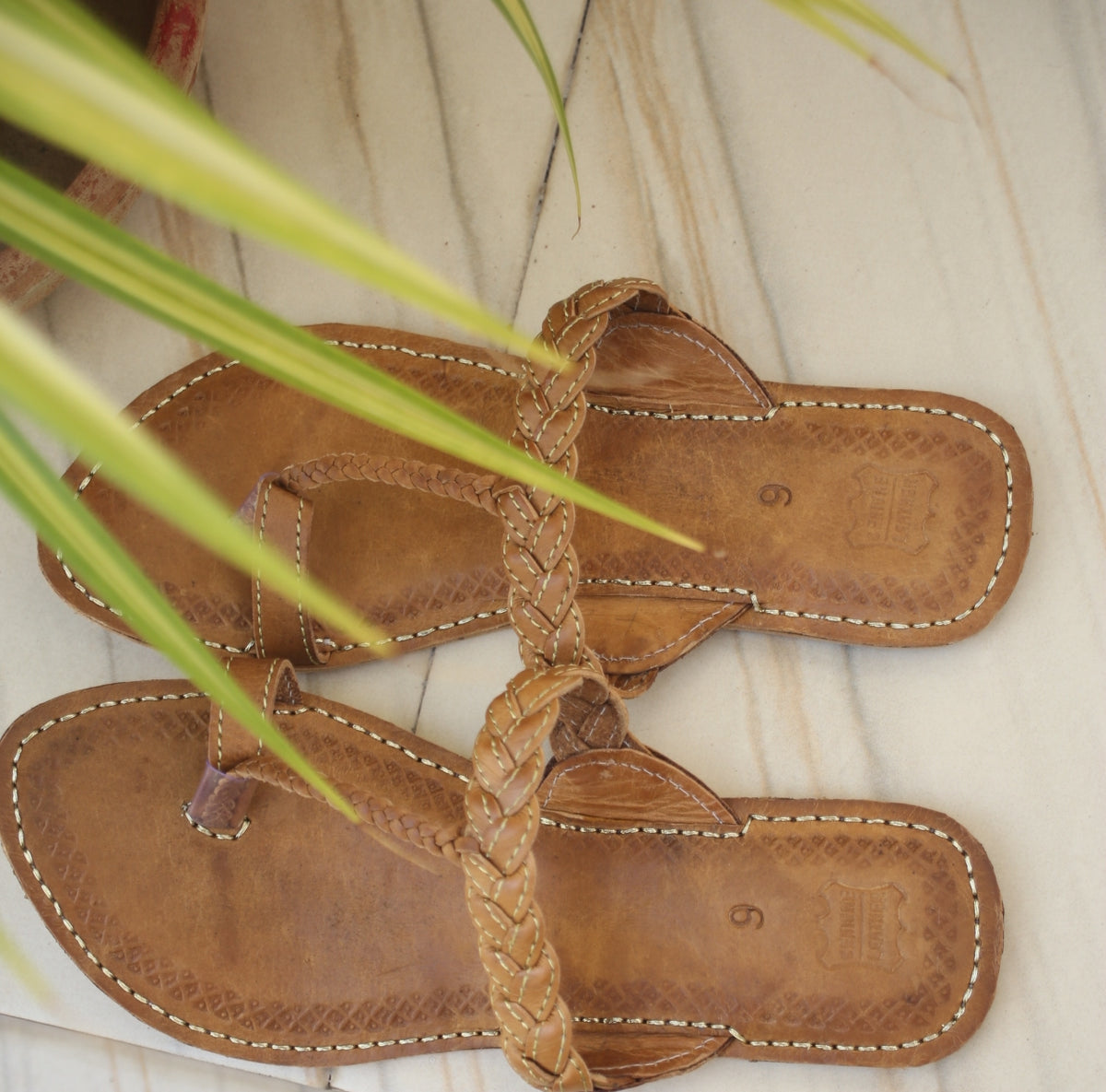 Brown Lotus kolapuri