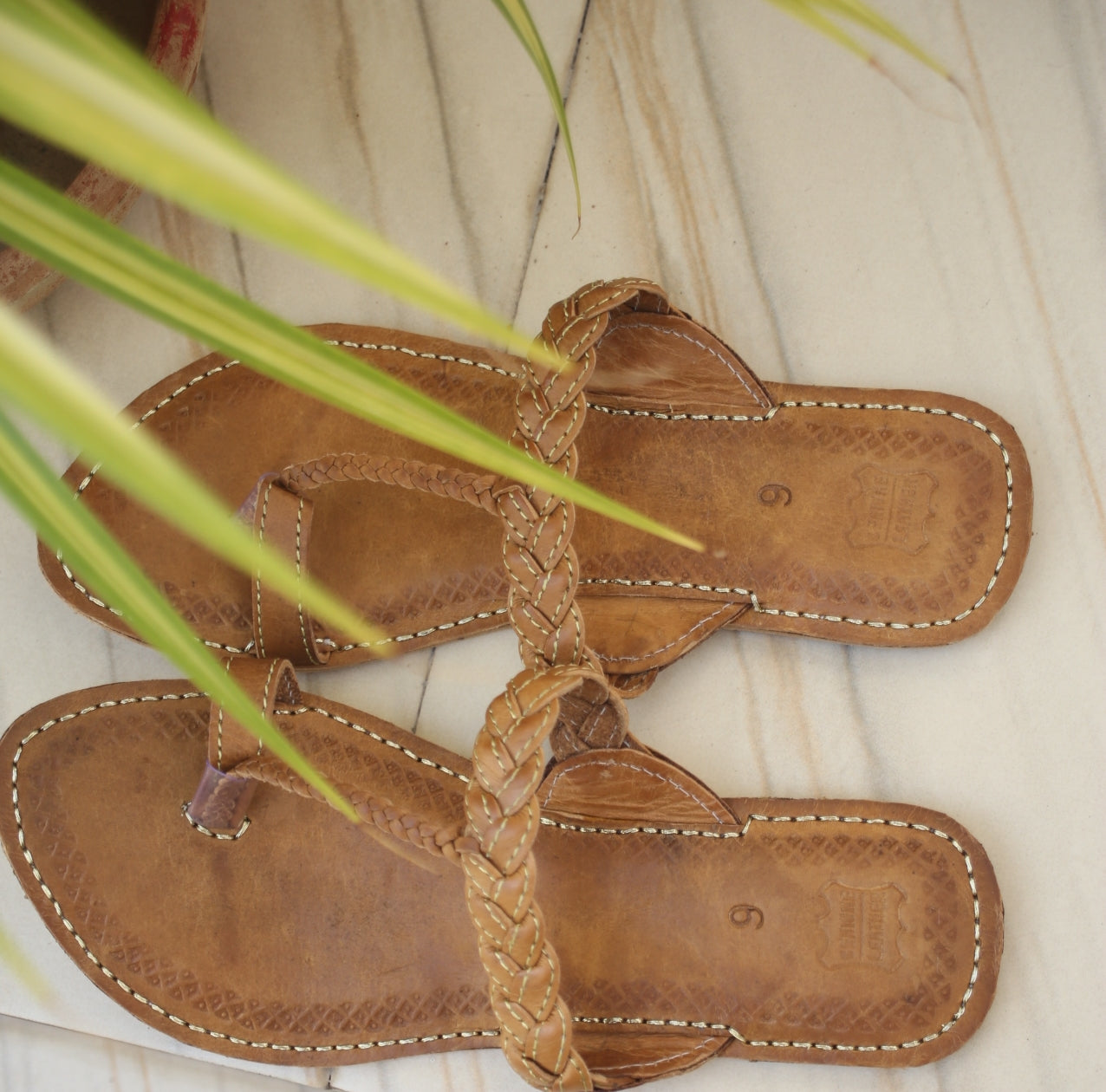 Brown Lotus kolapuri